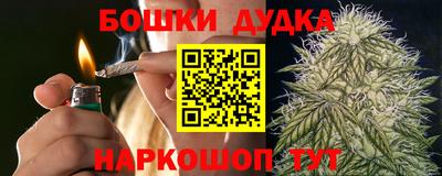 a pvp Шелехов