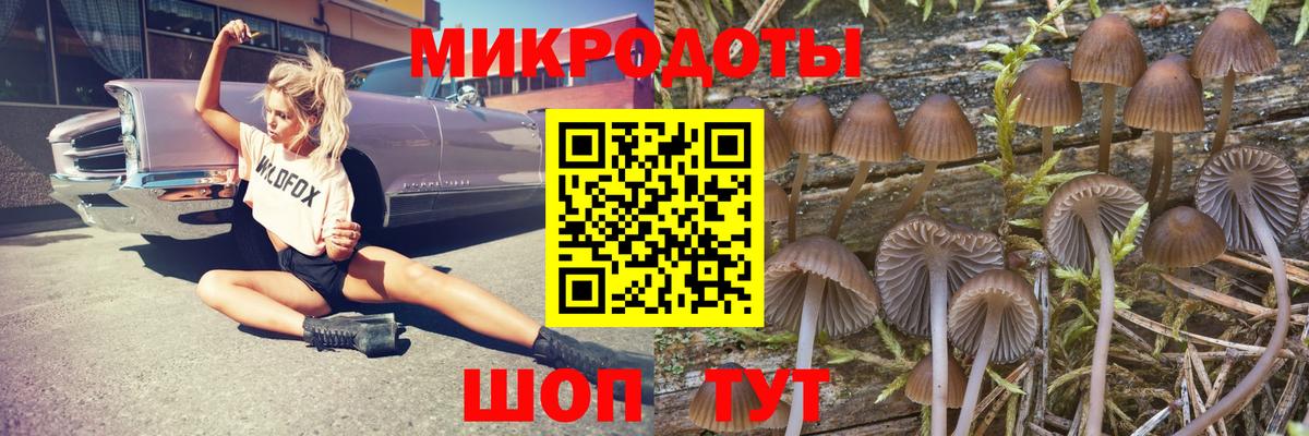 Галлюциногенные грибы ЛСД  Вход с VPN  Людиново  Псилоцибиновые грибы мицелий 